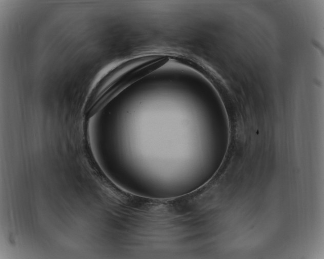X0000091881222200709051317