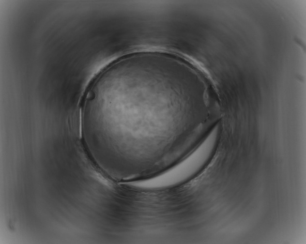 X0000091881223200709051317