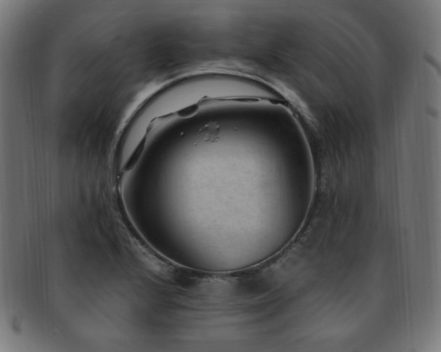 X0000091881224200709051317