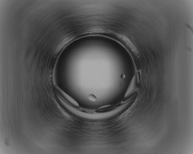 X0000091881225200709051317