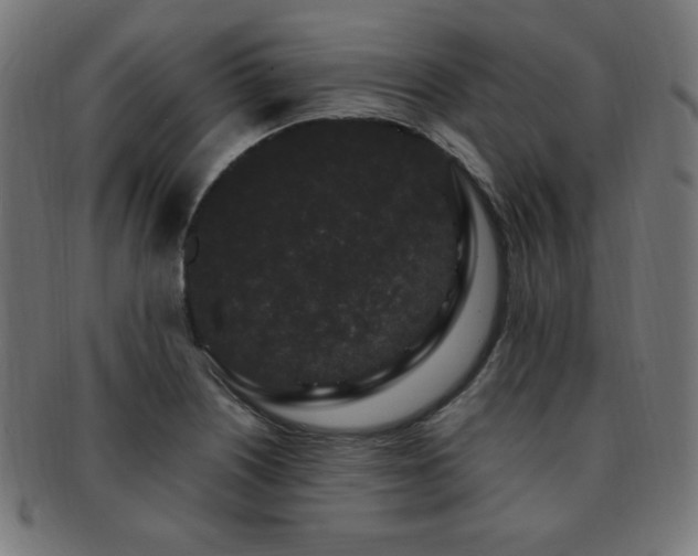 X0000091881226200709051317