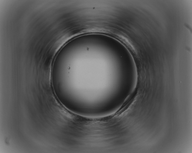 X0000091881228200709051317