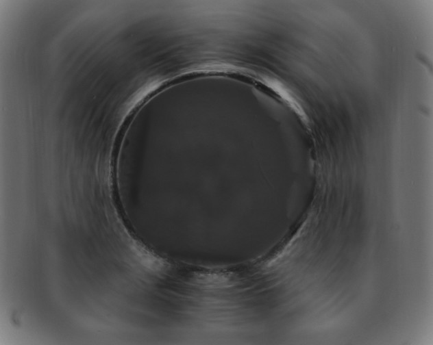 X0000091881229200709051317