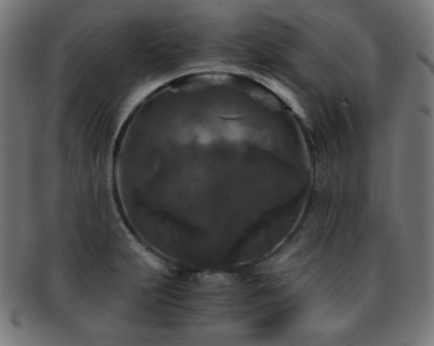 X0000091881231200709051317