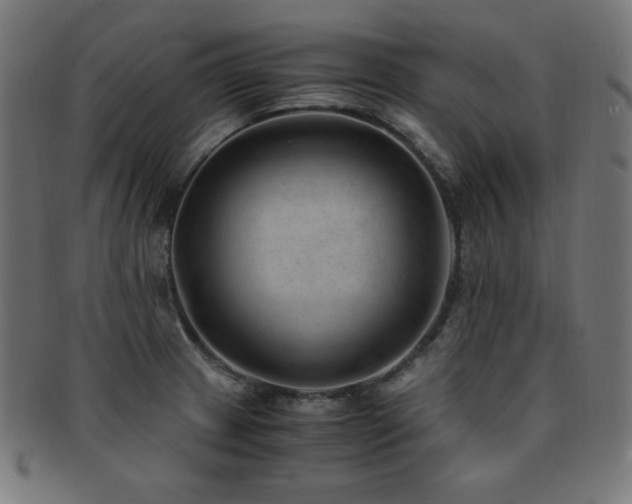 X0000091881233200709051317