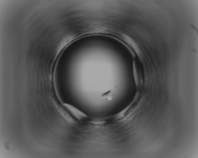 X0000091881234200709051317