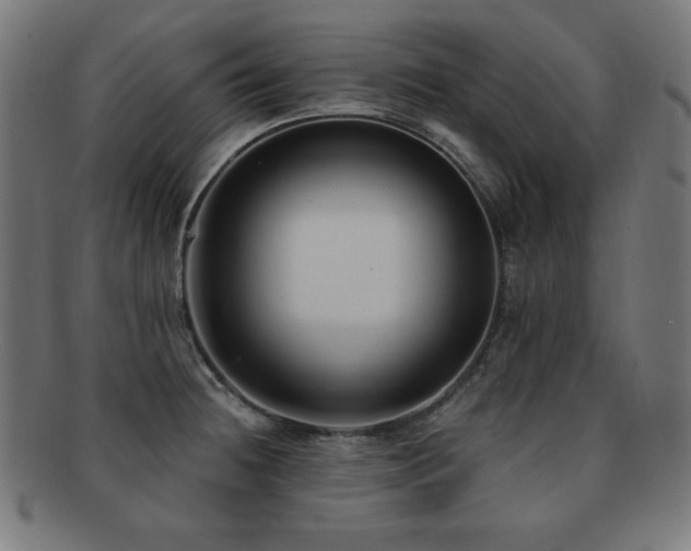 X0000091881236200709051317