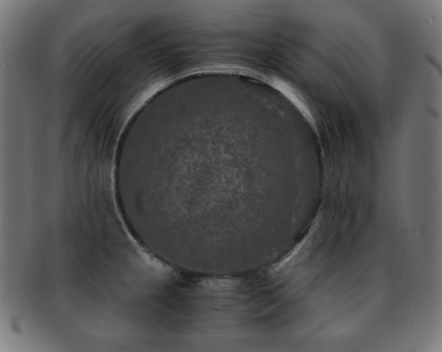 X0000091881237200709051317