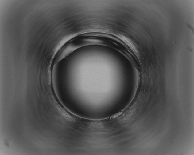 X0000091881238200709051317