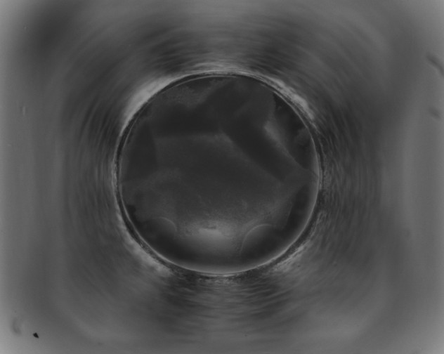 X0000091881239200709051317