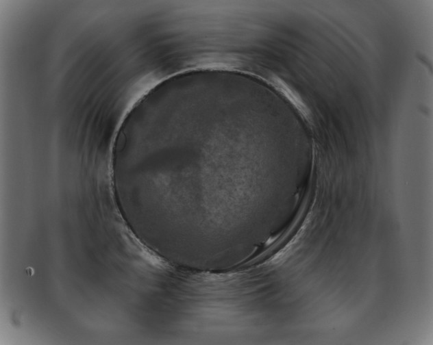 X0000091881240200709051317