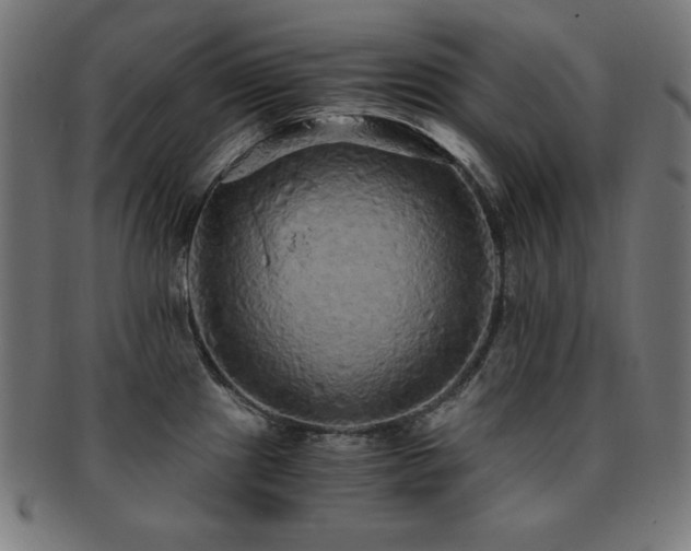 X0000091881241200709051317