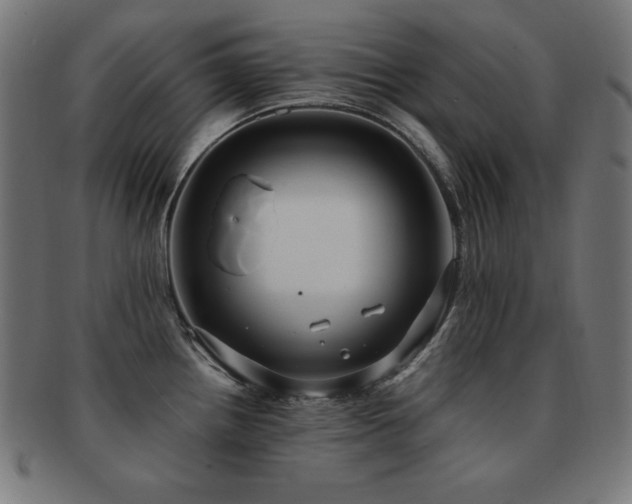 X0000091881242200709051317
