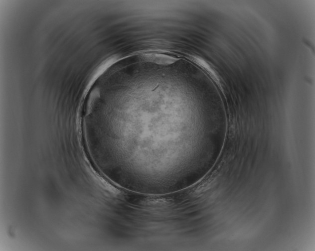 X0000091881243200709051317