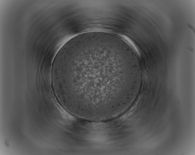 X0000091881244200709051318