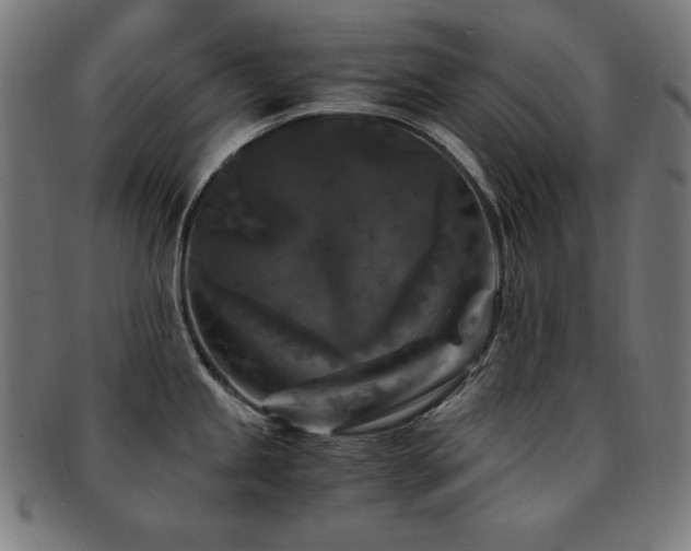 X0000091881245200709051318