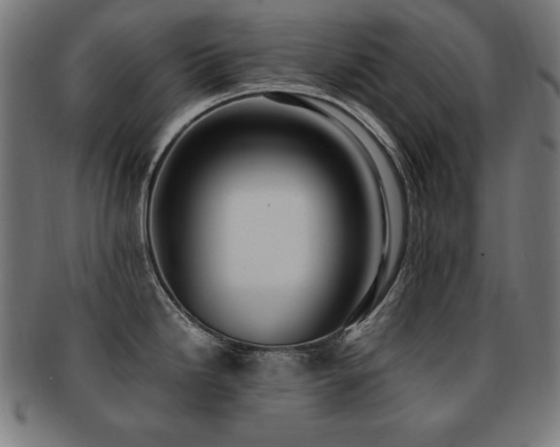 X0000091881246200709051318