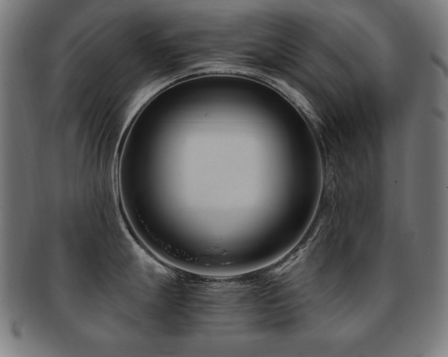 X0000091881247200709051318
