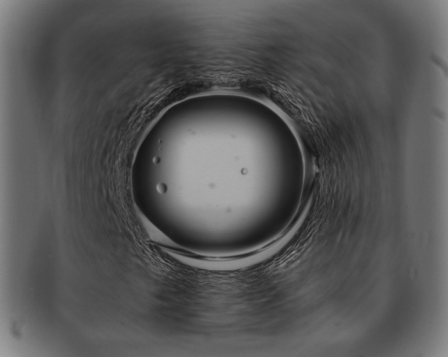 X0000091881249200709051317