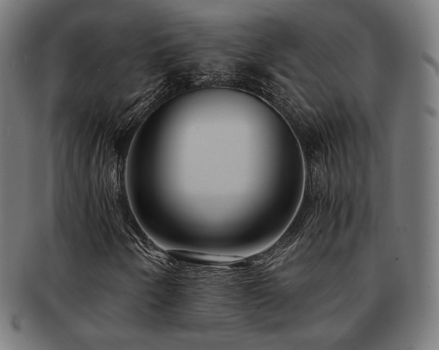 X0000091881250200709051317