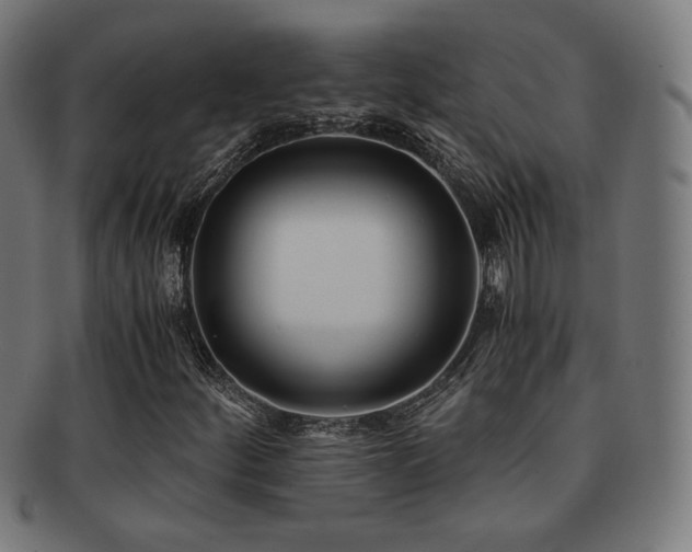 X0000091881252200709051317