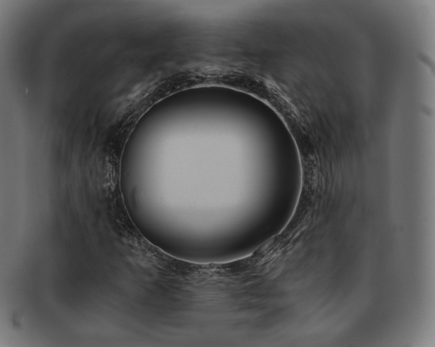 X0000091881253200709051317