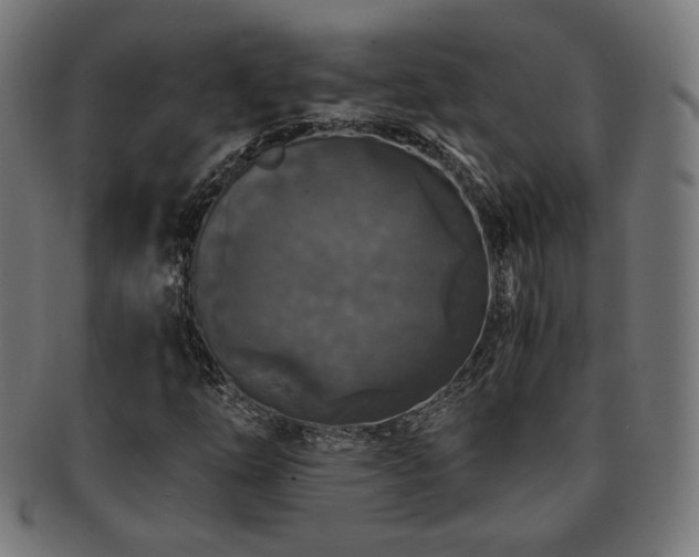 X0000091881254200709051317