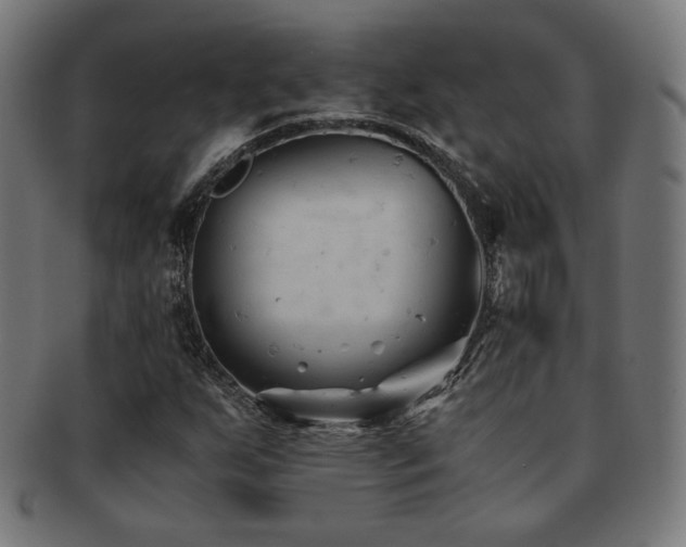 X0000091881255200709051317