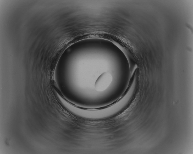 X0000091881257200709051317