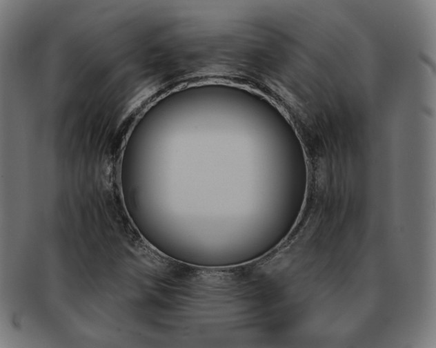 X0000091881258200709051317