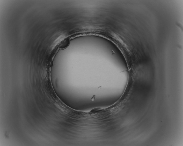 X0000091881259200709051317