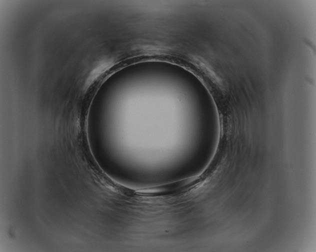 X0000091881261200709051317