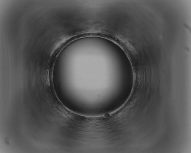 X0000091881262200709051317