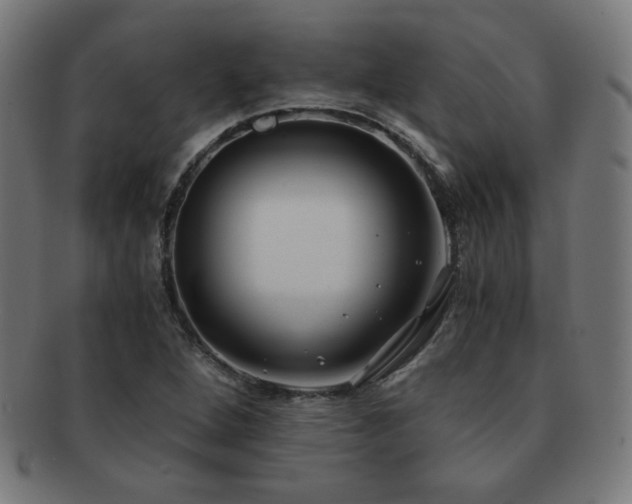 X0000091881264200709051317
