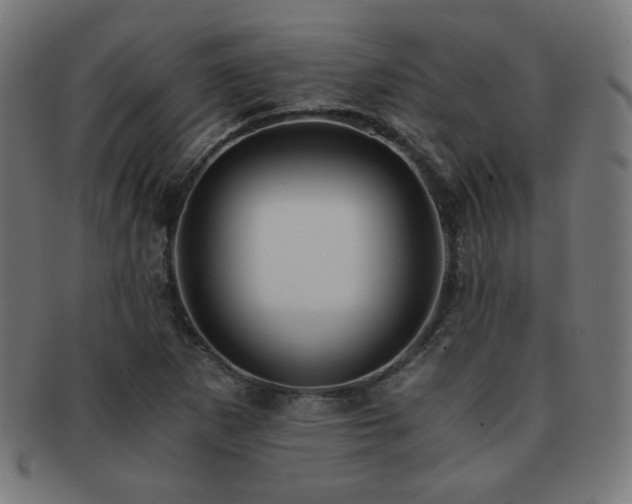 X0000091881265200709051317