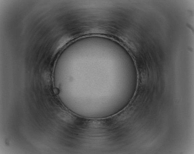X0000091881266200709051317