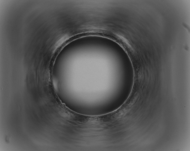 X0000091881267200709051317
