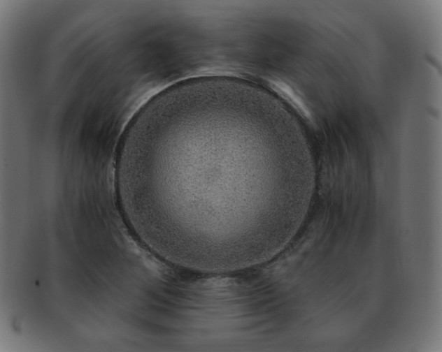 X0000091881268200709051317
