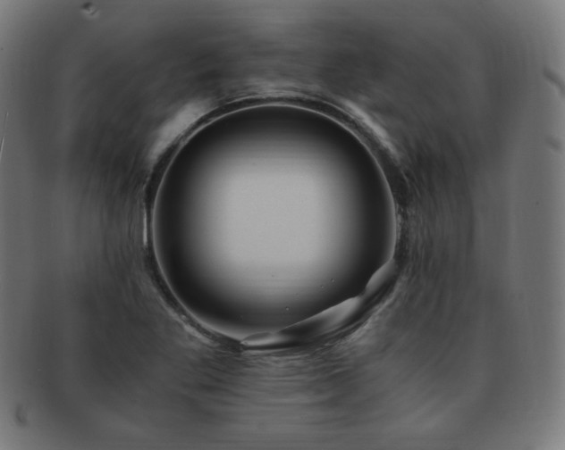 X0000091881269200709051317