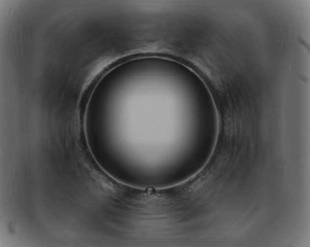 X0000091881270200709051317