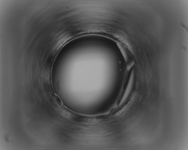 X0000091881273200709051317