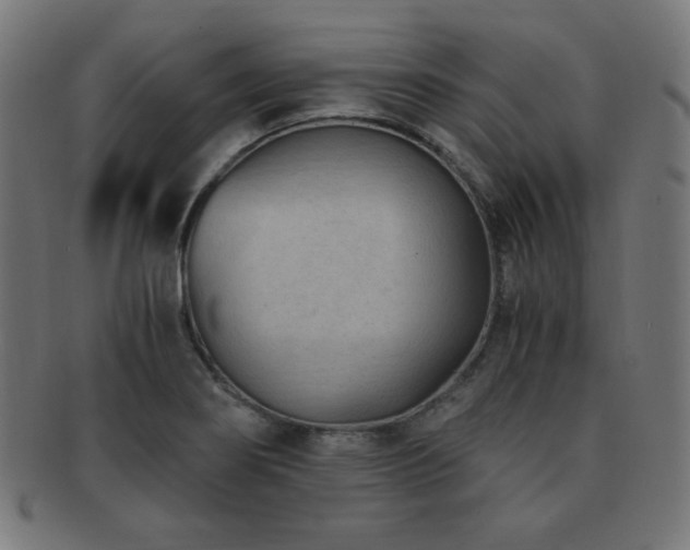 X0000091881274200709051317