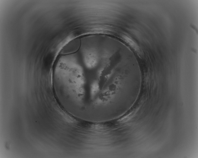 X0000091881275200709051317