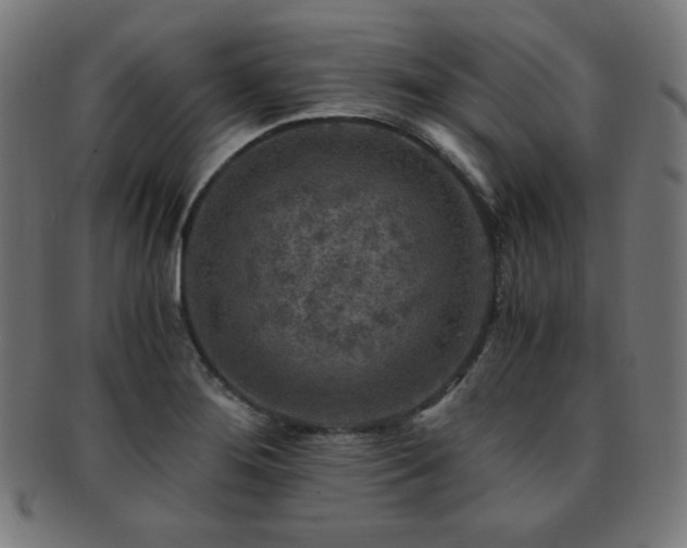 X0000091881276200709051316