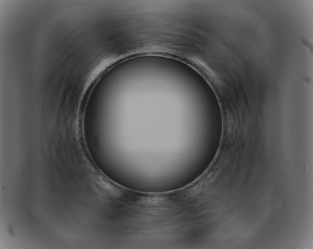 X0000091881278200709051316