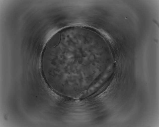 X0000091881279200709051316