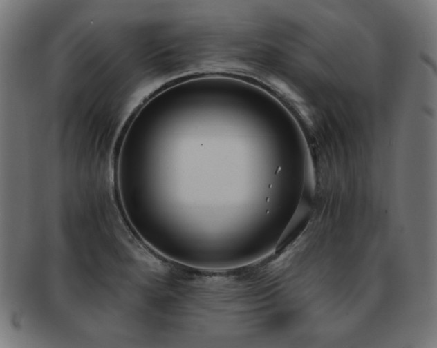 X0000091881280200709051316