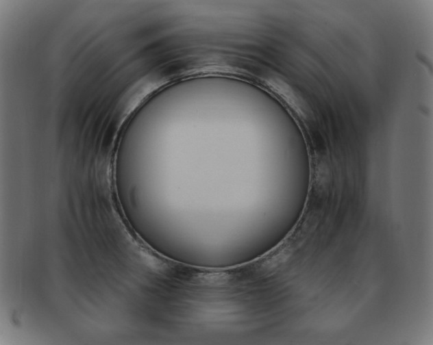 X0000091881282200709051316