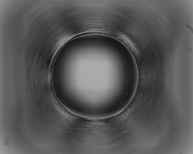 X0000091881284200709051316