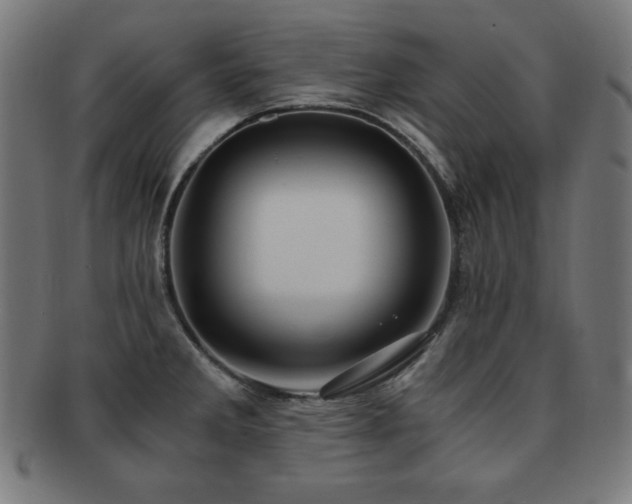 X0000091881285200709051316